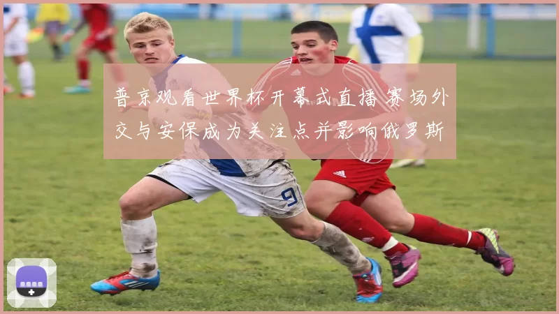 普京观看世界杯开幕式直播 赛场外交与安保成为关注点并影响俄罗斯形象