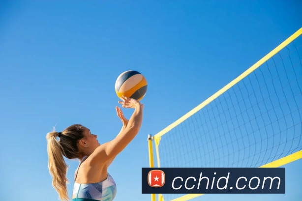 qy球友会·(千亿) - 官方网站服务体系